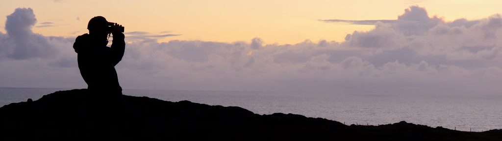 Wildlife on the Isle of Coll
