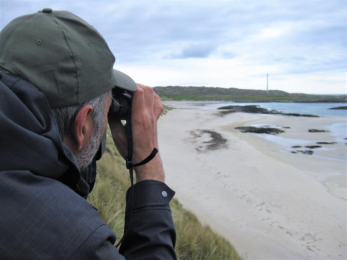 Wildlife outing on Coll