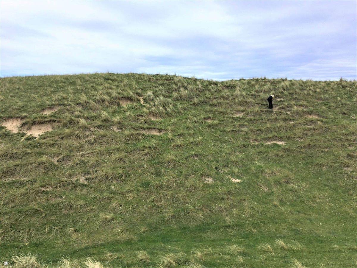 _Sarah exploring a typical Coll sand dune_
