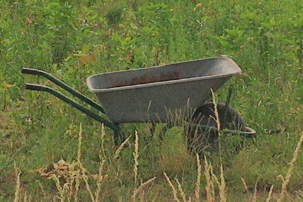 Bennison Farm – Community-Supported Organic Agriculture