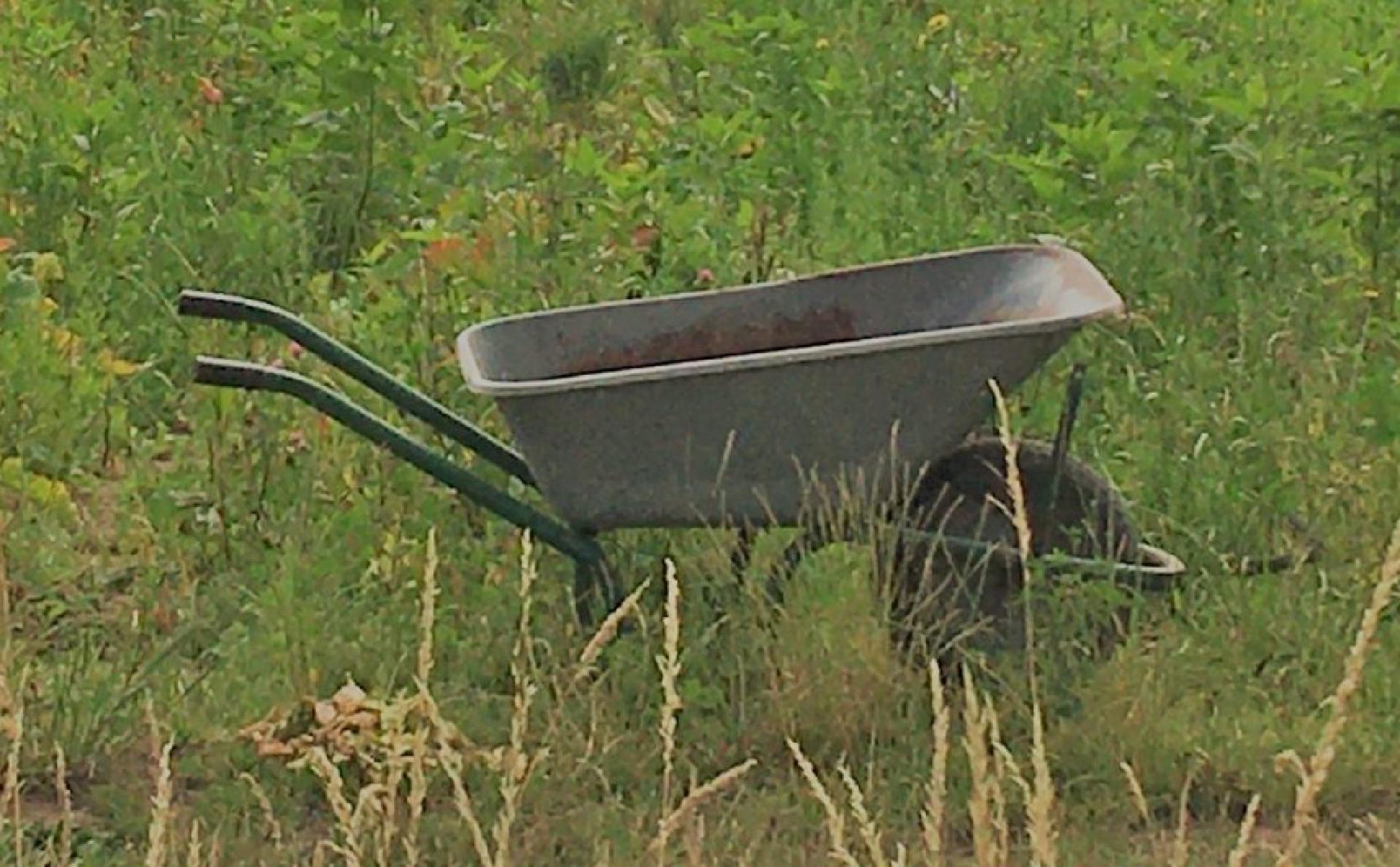 Bennison Farm – Community-Supported Organic Agriculture