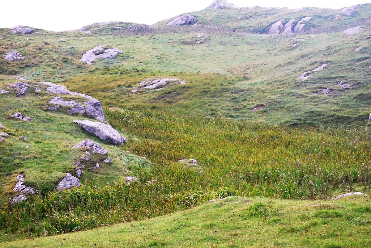 _Coll’s rolling moorland_ **©** Ali Hennessey