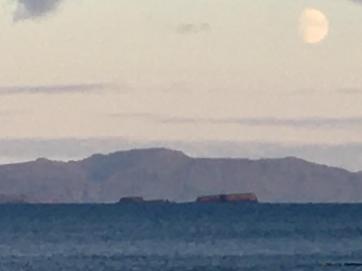 _Hard young igneous rocks (like these Treshnish Islands) contrast with the older rocks of Coll_
