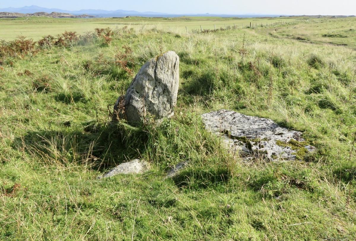 _Standing stones like this one are among the many archaeological delights to be found on Coll (if you know where to look)_