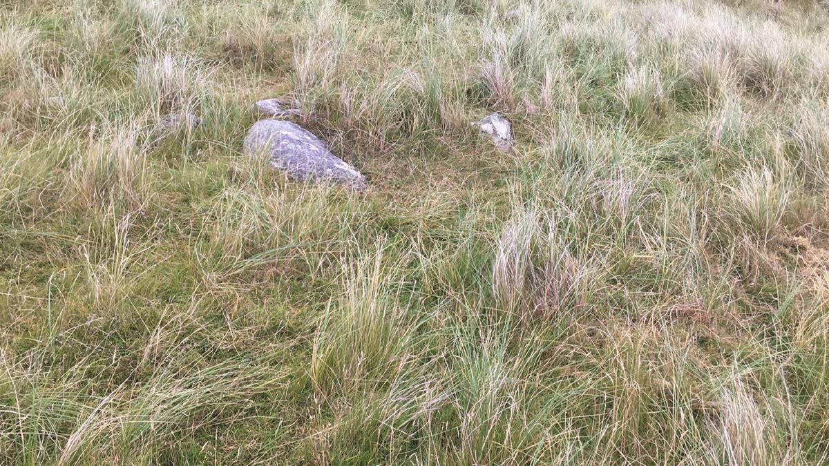 _A few stones in the dunes turn out to be a bronze-age cist burial_©WildSmiths