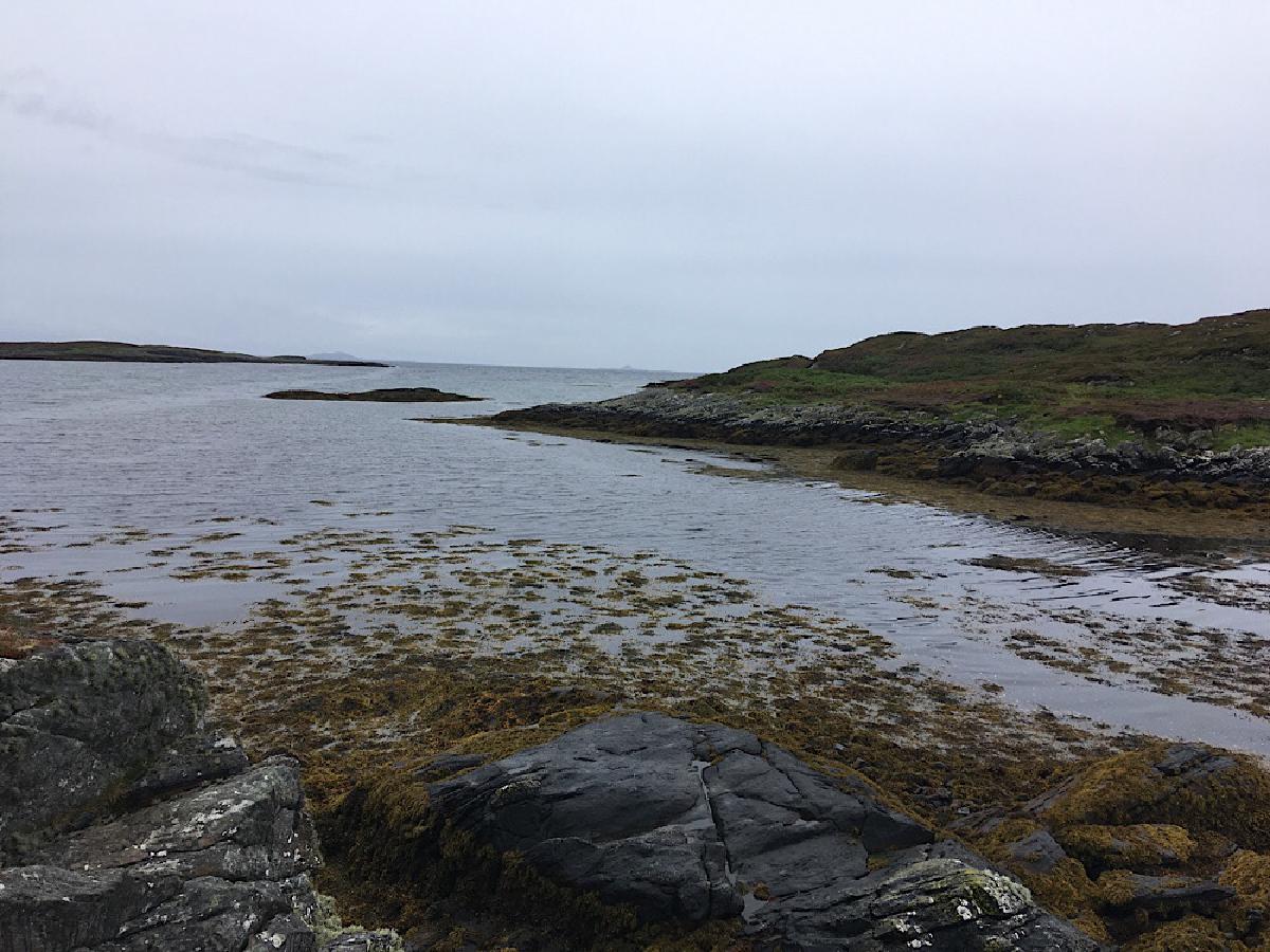 _The perfect spot to watch seals_ **©** WildSmiths