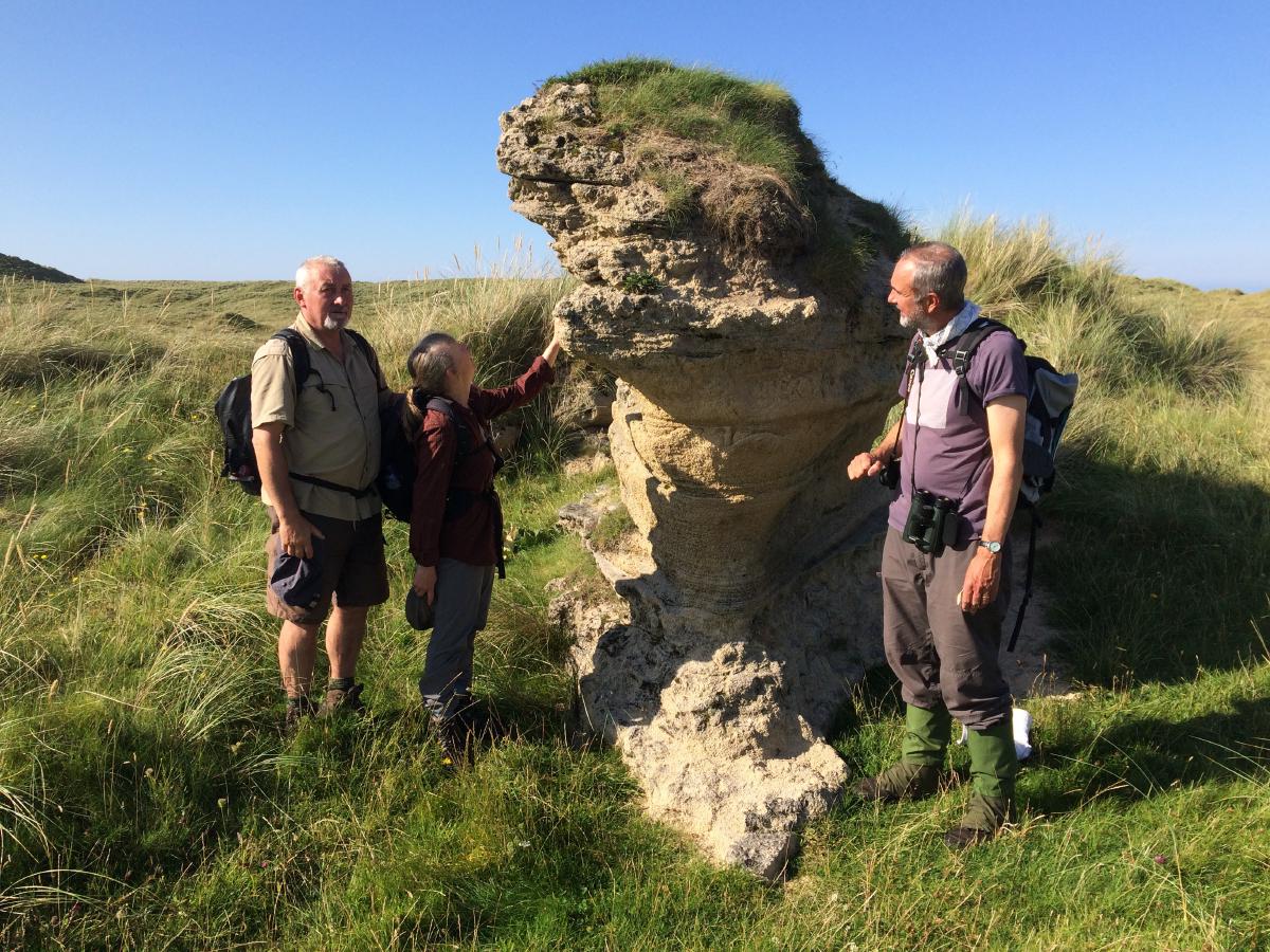 _Sandstone structures in the dunes_
