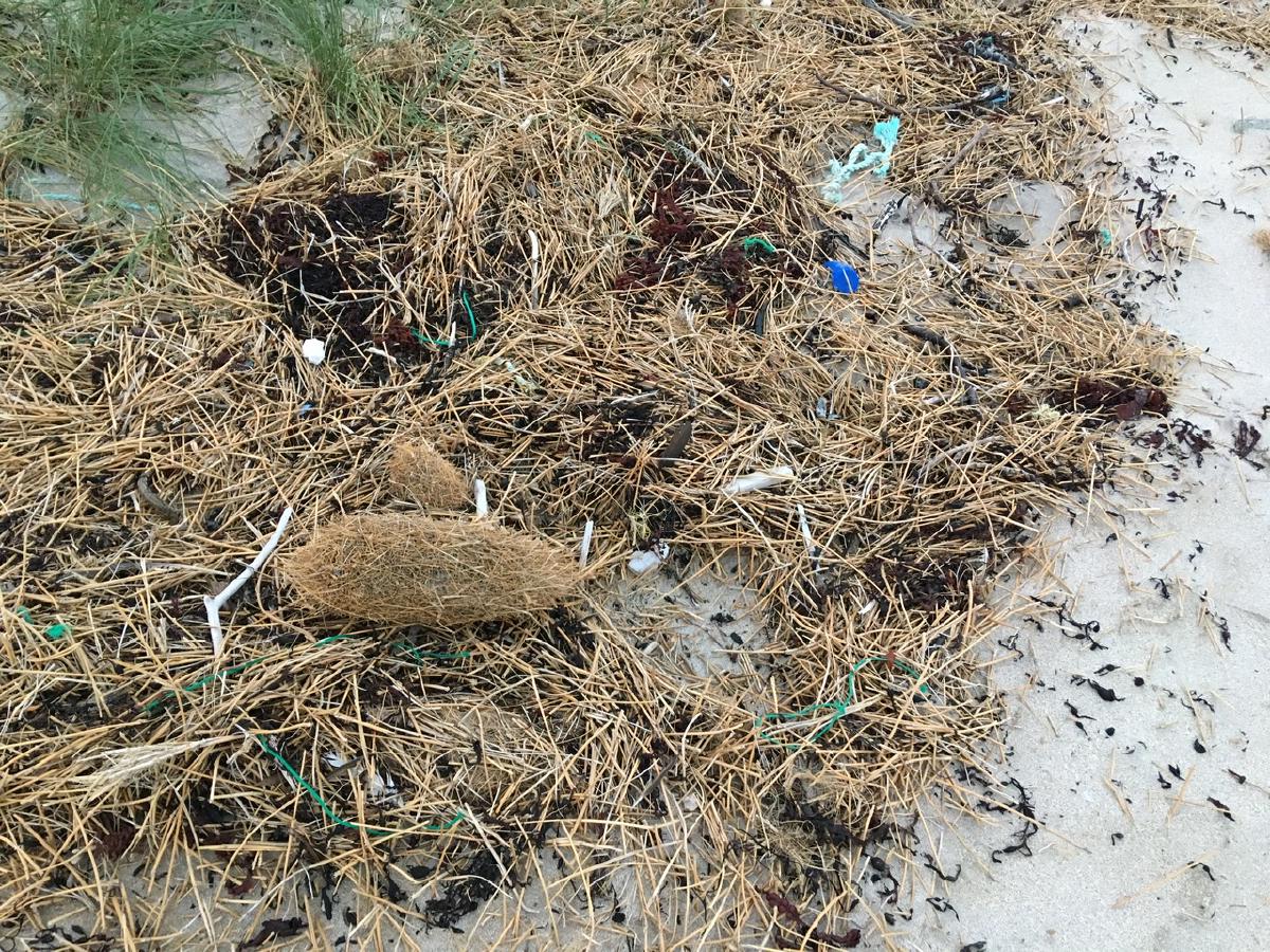 _Grass balls among the plastic detritus_