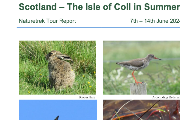 Naturetrek – Isle of Coll in Summer